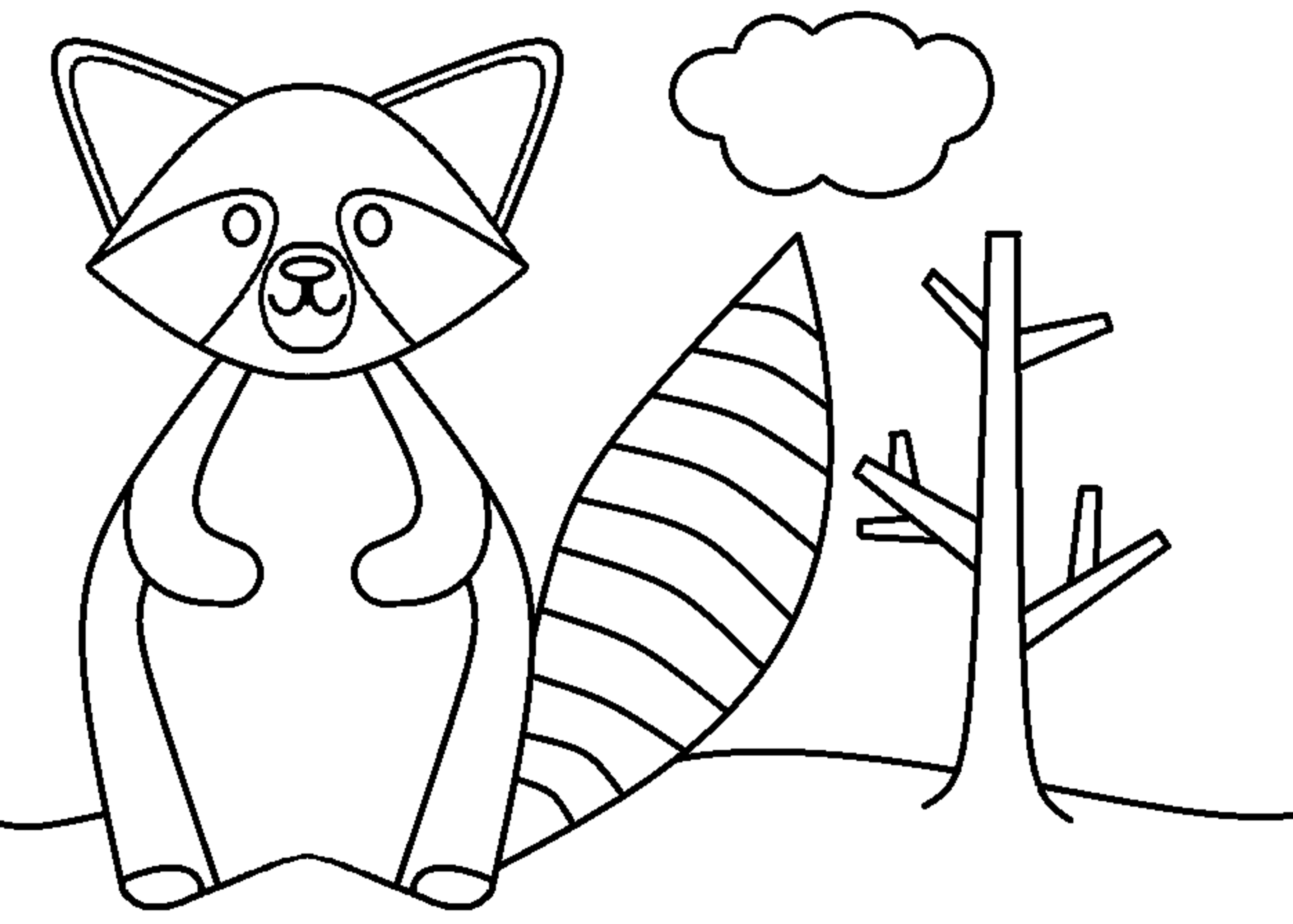 Raccon coloring page